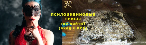 шишки Богородицк