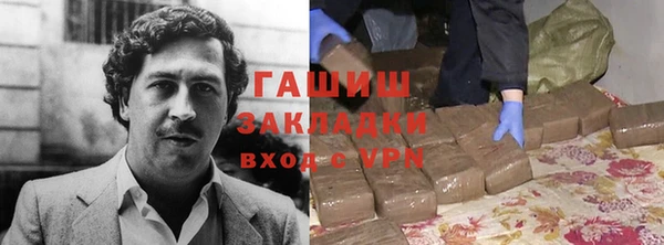 шишки Богородицк
