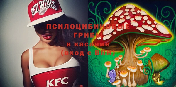 шишки Богородицк