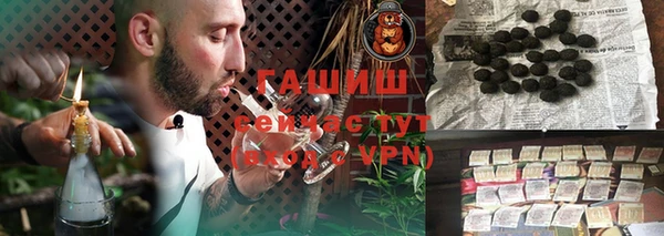 шишки Богородицк