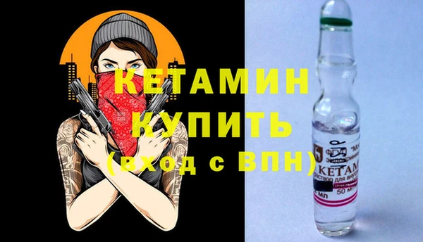 шишки Богородицк